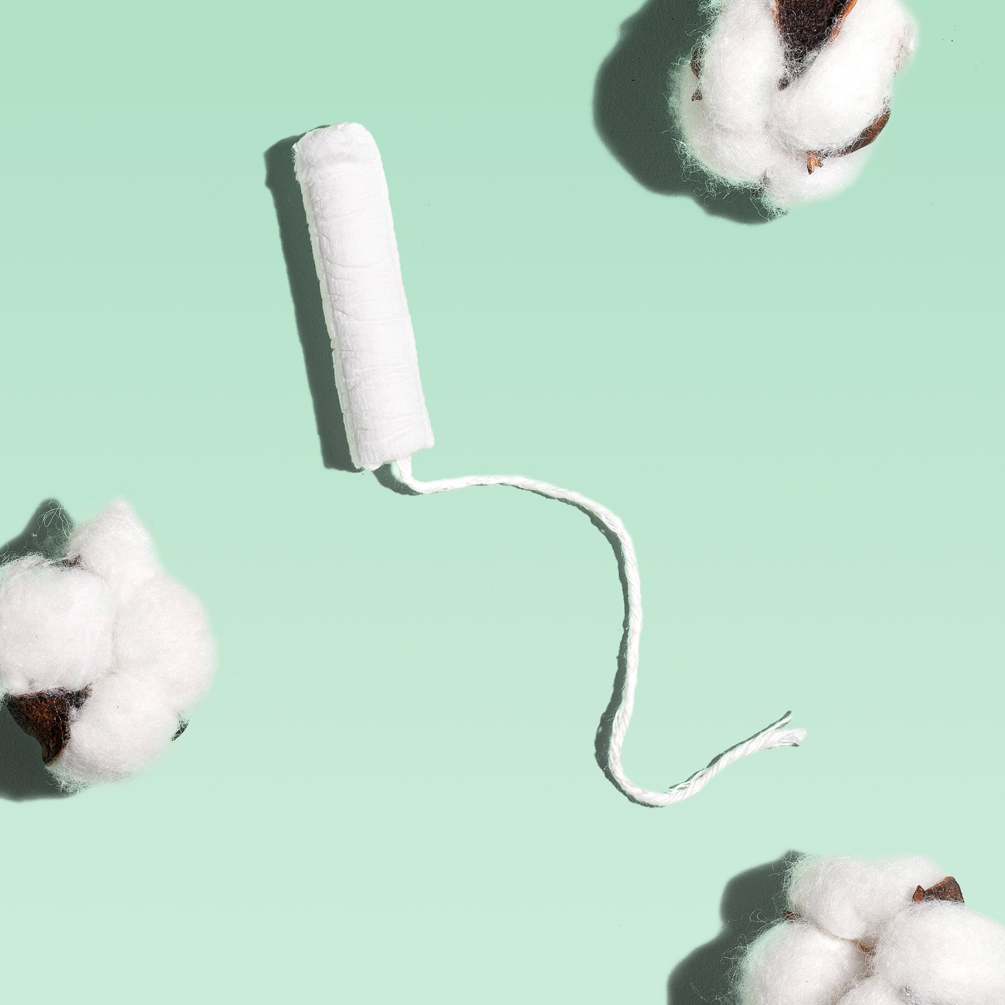 Super Cardboard Applicator Tampons Made With Organic Cotton U4